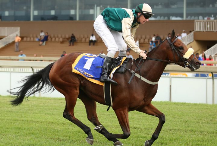 Cascada (Candiese Marnewick)