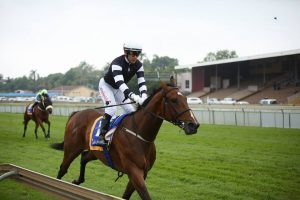 Redeemer (Candiese Marnewick)