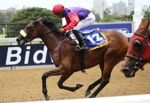 Tough Girl (Candiese Marnewick)