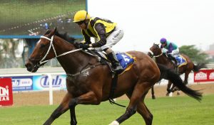 Antony Hotspur (Candiese Marnewick)