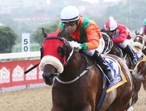 Founding Father (Candiese Marnewick)