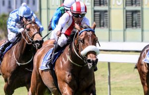 Jo's Bond (Liesl King)