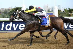 Miss Varlicious (Candiese Marnewick)