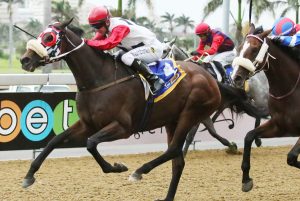 Pure Logic (Candiese Marnewick)