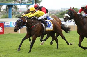 Social Order (Candiese Marnewick)