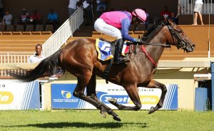 Statute (Candiese Marnewick)