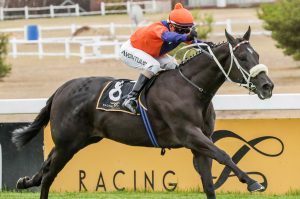 Top Of The Class (Liesl King)