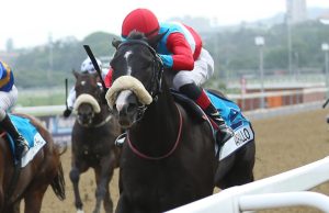 Varallo (Candiese Marnewick)