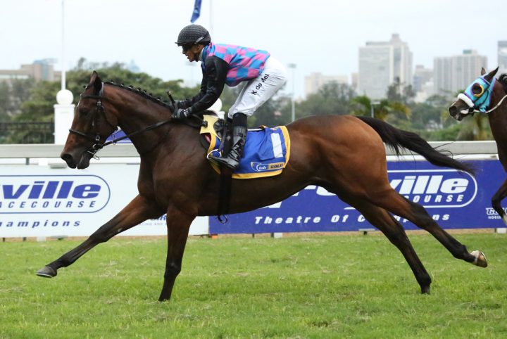 Dark Moon Rising (Candiese Marnewick)