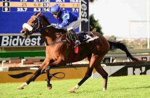 Lobo's Legend (JC Photographics)