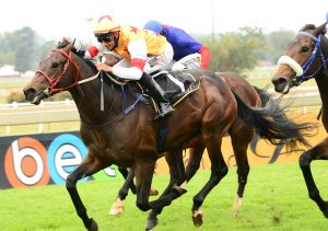 Alex The Great (JC Photographics)