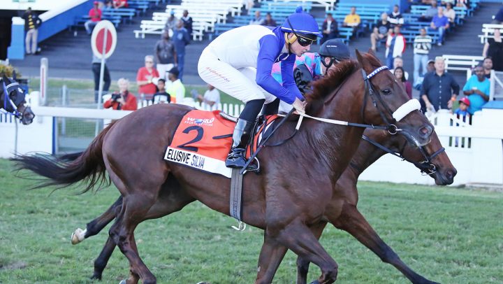 Elusive Silva (Denzil Govender)