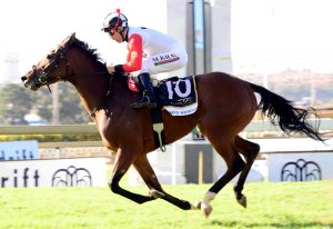 Hero's Honour (JC Photographics)