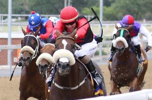 Hidden Thought (Candiese Marnewick)