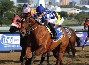 Touch Of Magic (Candiese Marnewick)