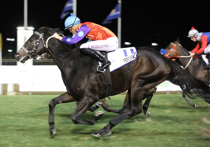 Perovskia (Candiese Marnewick)