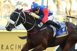 Zadora (Candiese Marnewick)