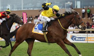 Sommerlied (Candiese Marnewick)