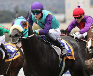 Washington Square (Candiese Marnewick)