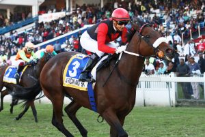 African Night Sky (Candiese Marnewick)