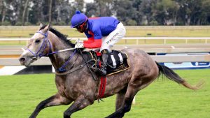 Lord Silverio (JC Photographics)