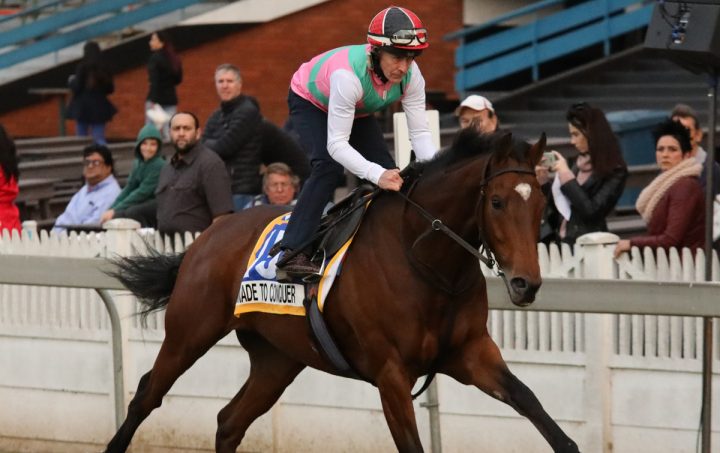 Made To Conquer (Candiese Marnewick)