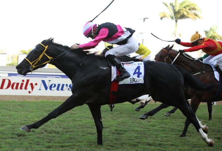 Surcharge (Candiese Marnewick)