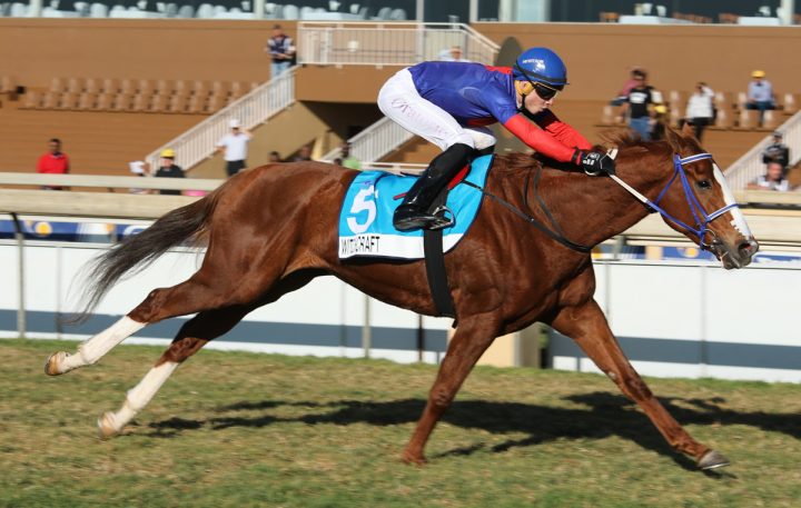 Witchcraft (Candiese Marnewick)