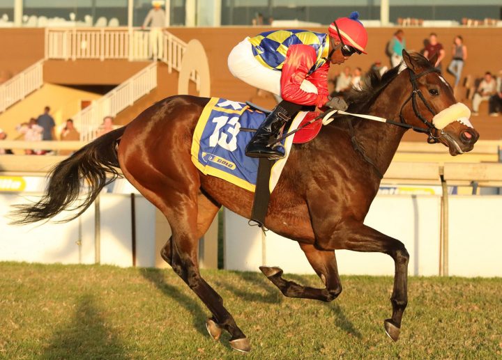 Believe The Best (Candiese Marnewick)