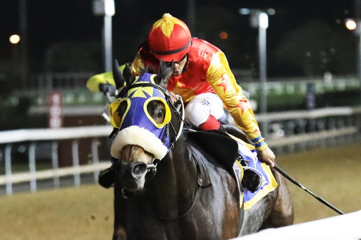 Gone Baby Gone (Candiese Marnewick)