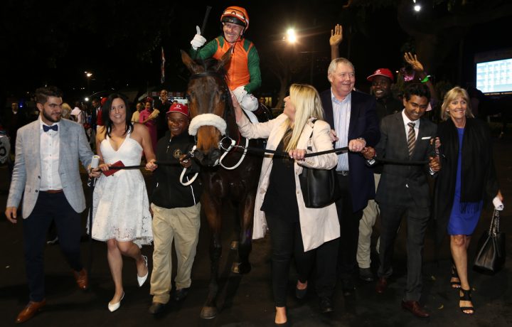 Jeff Lloyd (Candiese Marnewick)