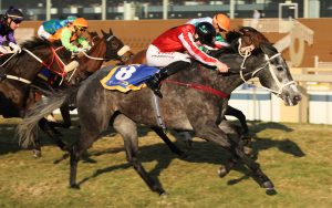 Kilmokea (Candiese Marnewick)