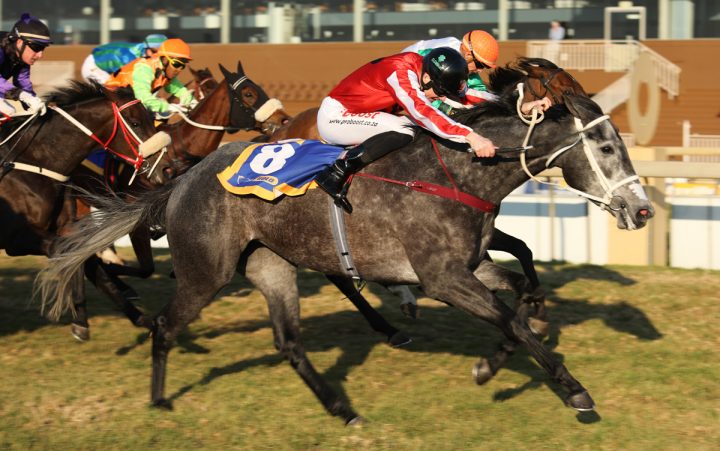 Kilmokea (Candiese Marnewick)