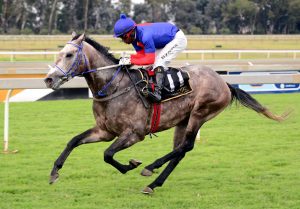 Lord Silverio (JC Photographics)