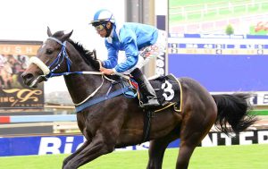 Punta Cana (JC Photographics)