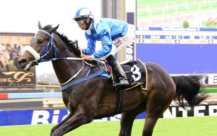 Punta Cana (JC Photographics)