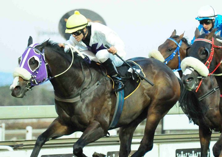 Quattro (JC Photographics)