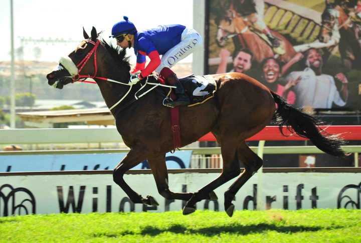 Return Flight (JC Photographics)