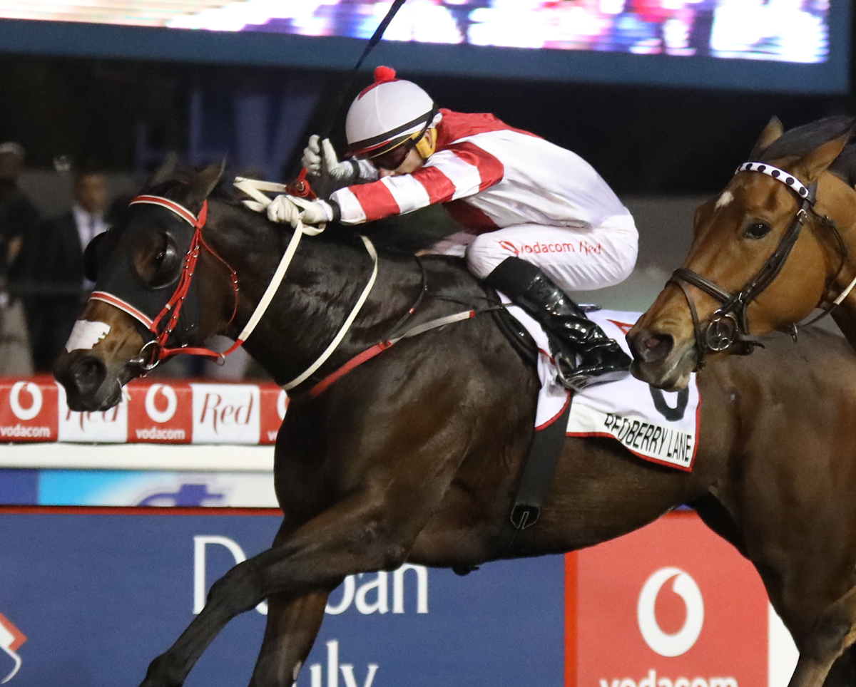 Gold Circle KZN racing awards Gold Circle Horse Racing And Betting