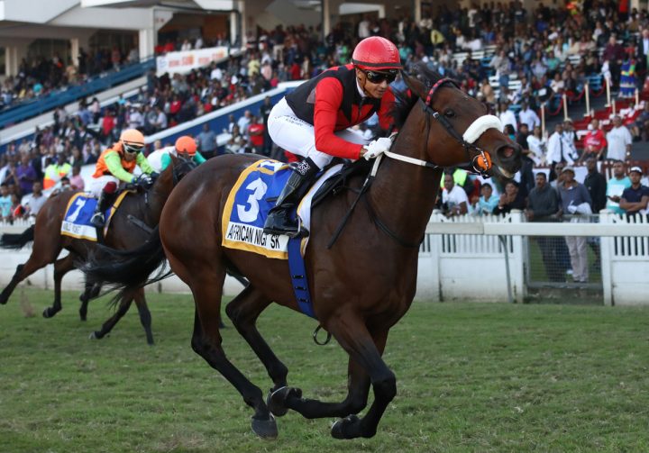 African Night Sky (Candiese Marnewick)