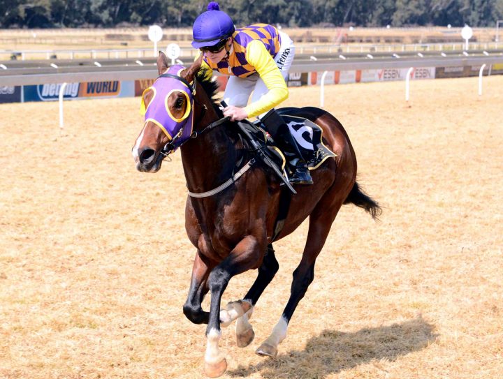 De Kock provides Greener Pastures for punters Gold Circle Horse