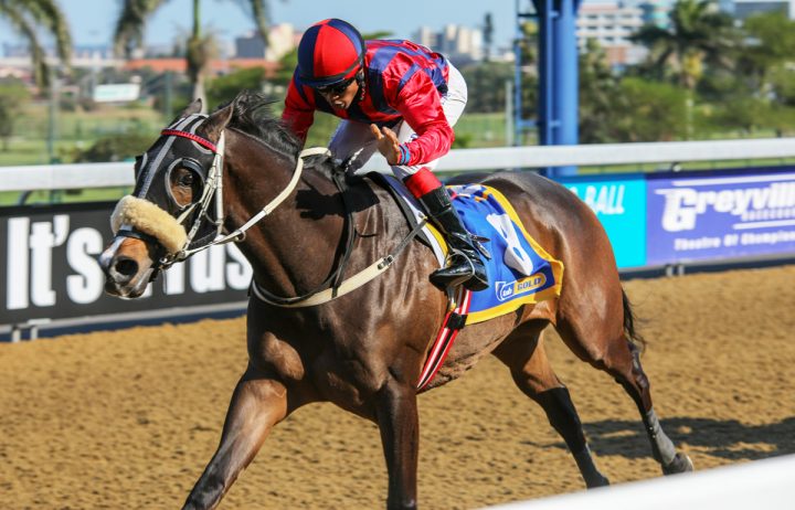 Gunner (Candiese Marnewick)