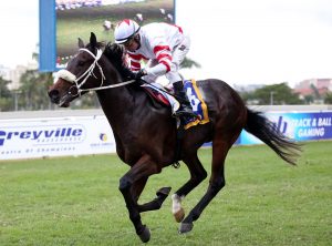 King's Cup (Nkosi Hlophe)