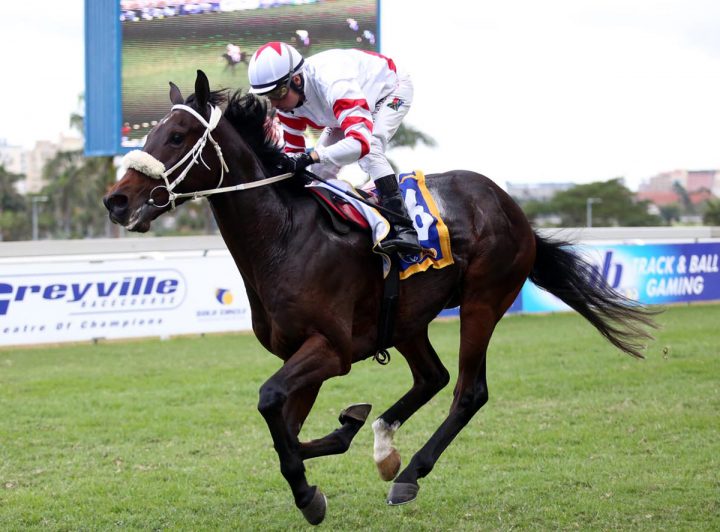 King's Cup (Nkosi Hlophe)