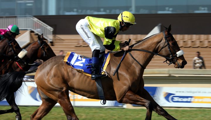 Mela Stregata (Candiese Marnewick)