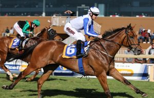 Monte Christo (Candiese Marnewick)