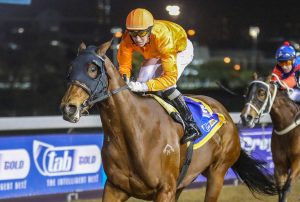 My Zinzara (Candiese Marnewick)