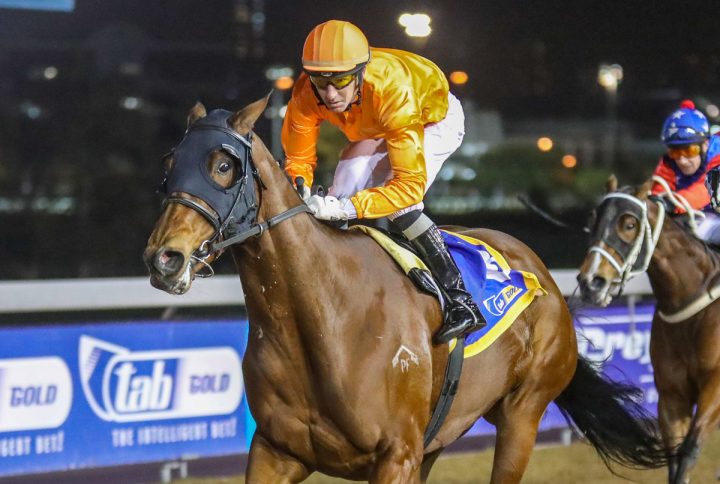 My Zinzara (Candiese Marnewick)