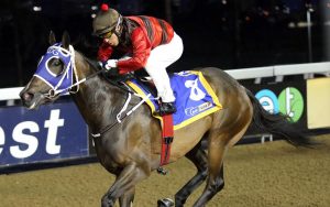 River Ayre (Candiese Marnewick)