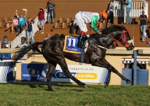 Roy's Magic (Candiese Marnewick)